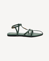 #Color_Green